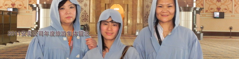 北京安实创业科技发展有限公司